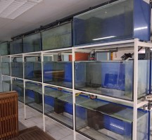 20260417_143909 (002)